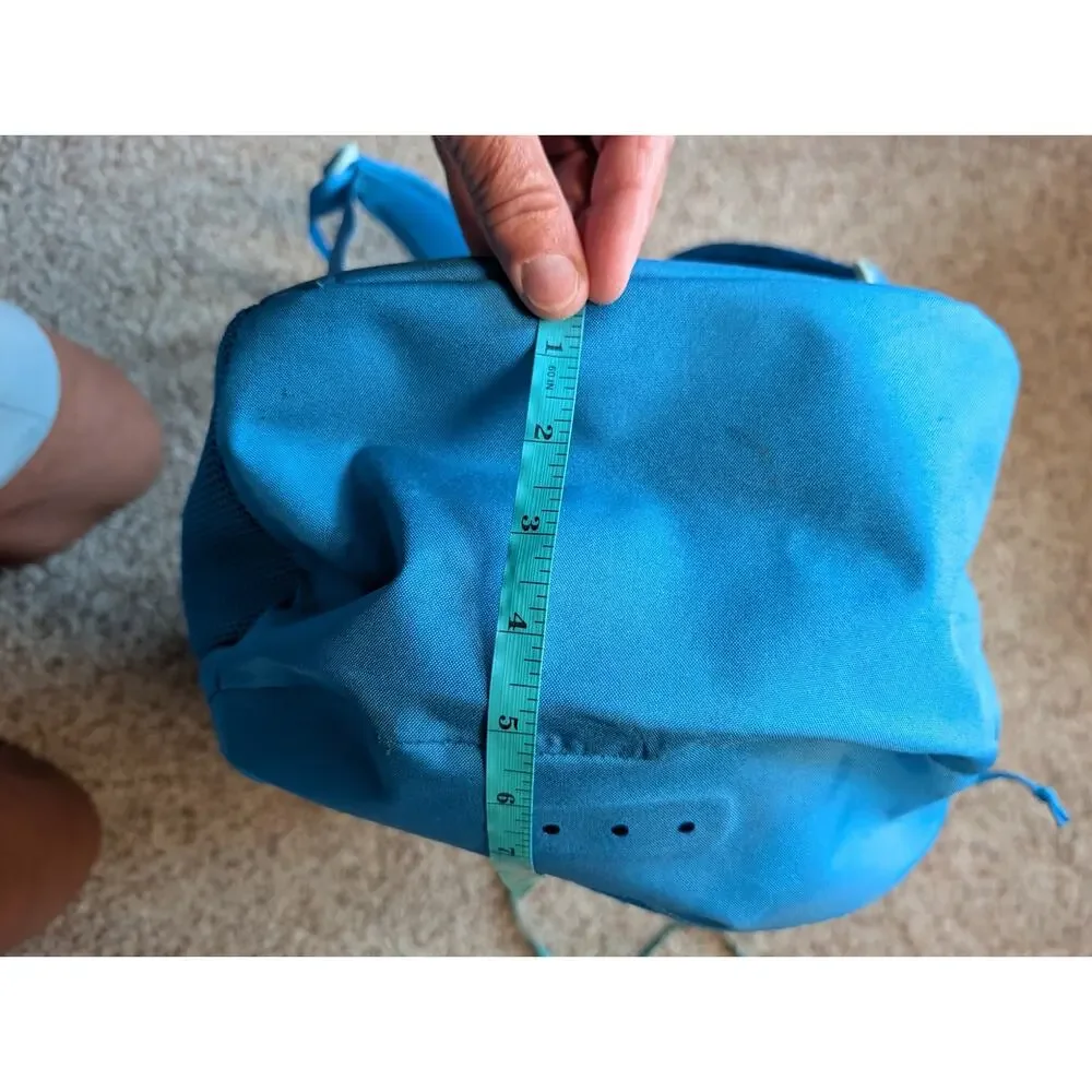 Patagonia Refugio daypack backpack, mesh pocket; beach, lightweight; travel